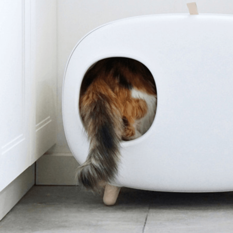 Agnes cat litter sales mat