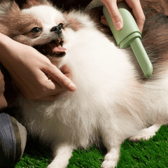 MS 2-in-1 Pet Fur Comb - Pet Grooming - Higooga