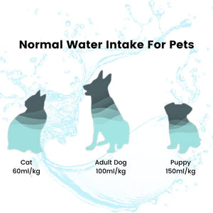 Ceramic Pet Water Fountain Artist Edition - Bowls, Feeders & Waterers - Higooga