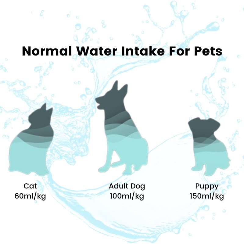 Ceramic Pet Water Fountain Artist Edition - Bowls, Feeders & Waterers - Higooga