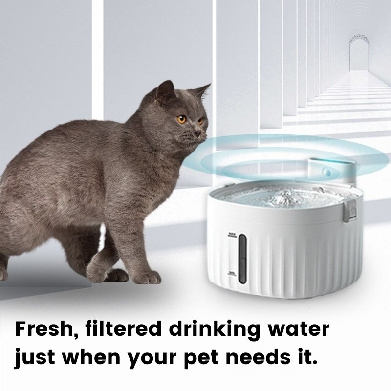 Cordless Automatic Pet Water Fountain with Motion Sensor - Bowls, Feeders & Waterers - Higooga