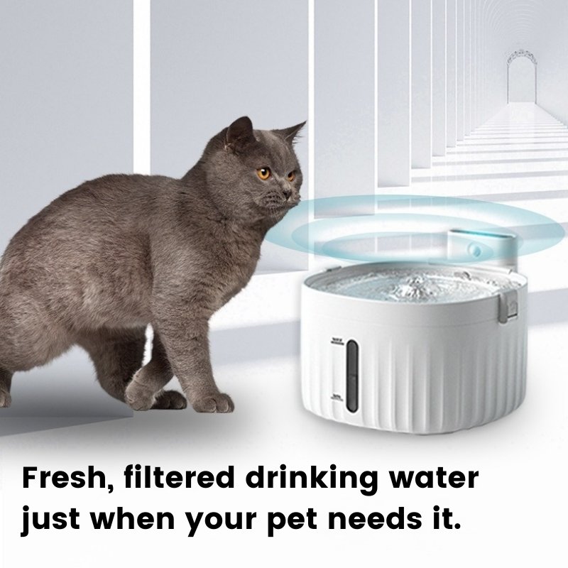 Gallery Detail: Cordless Rechargeable Pet Water Fountain With Motion Sensor