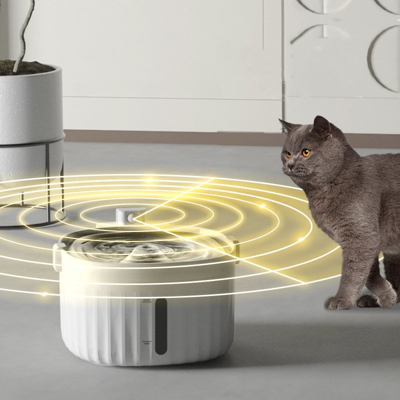 Photo inspiration: Fresh Look at Cordless Rechargeable Pet Water Fountain With Motion Sensor
