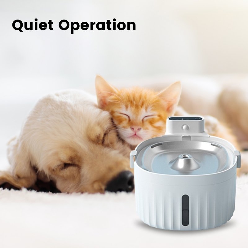 Cordless Rechargeable Pet Water Fountain With Motion Sensor Photo Inspiration