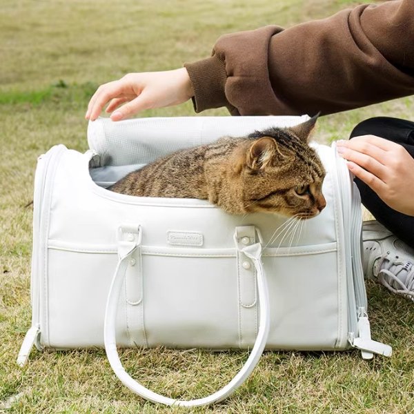 Foldable Enclosed Pet Carrier | Higooga