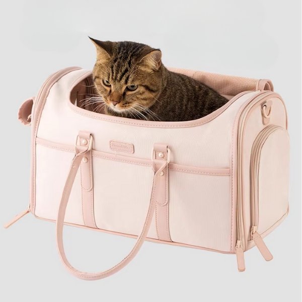 Foldable Enclosed Pet Carrier | Higooga