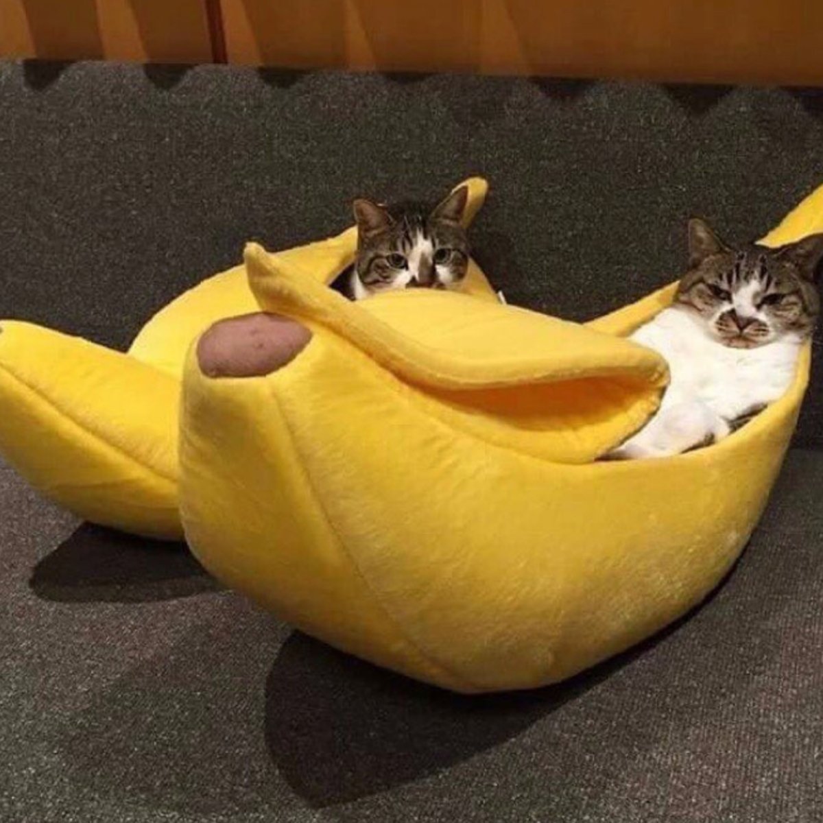 Fully Covered Banana Cat Bed - Beds & Furniture - Higooga