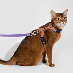 HiDREAM Adventure-Ready Button-On Cat Harness Leash | Higooga