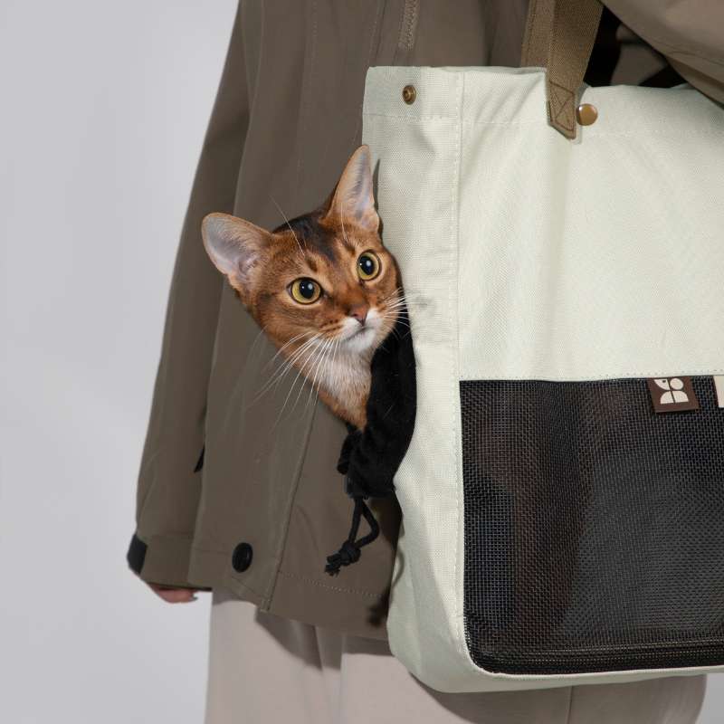 HiDREAM Lightweight Pet Carrier Tote Bag | Higooga