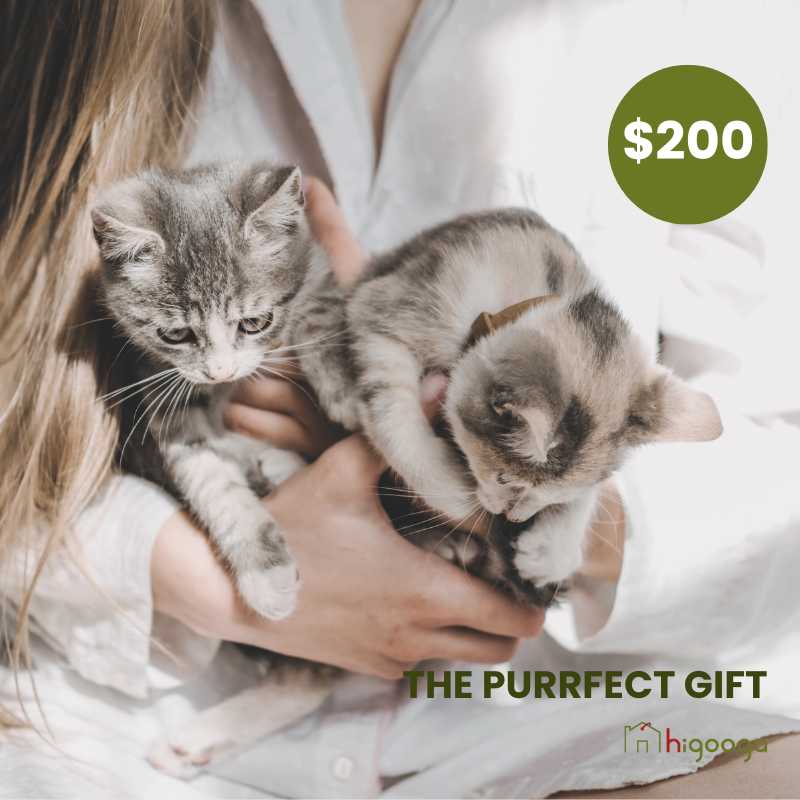 Higooga Gift Card | Higooga