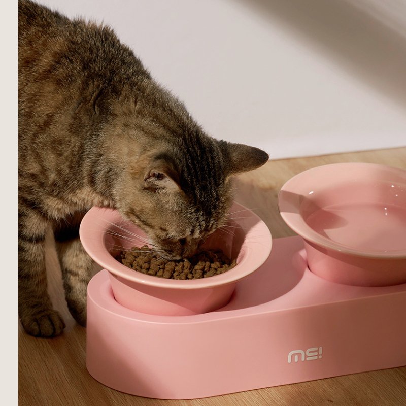 MS Designer Series Dual Ceramic Pet Bowls with Detachable Stand | Higooga