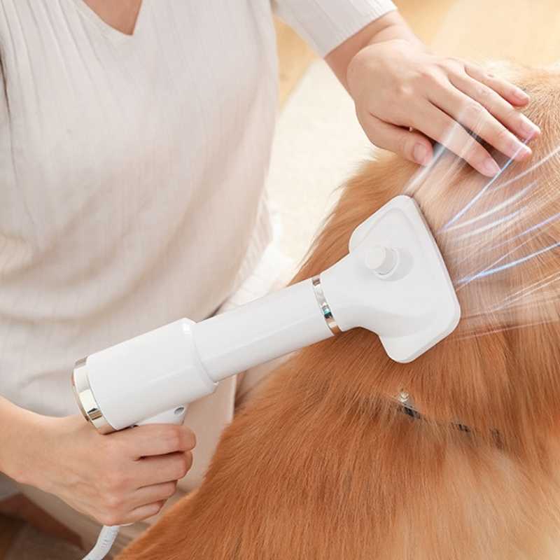 Pet 2-in-1 Dryer with Slicker Brush - Pet Grooming - Higooga