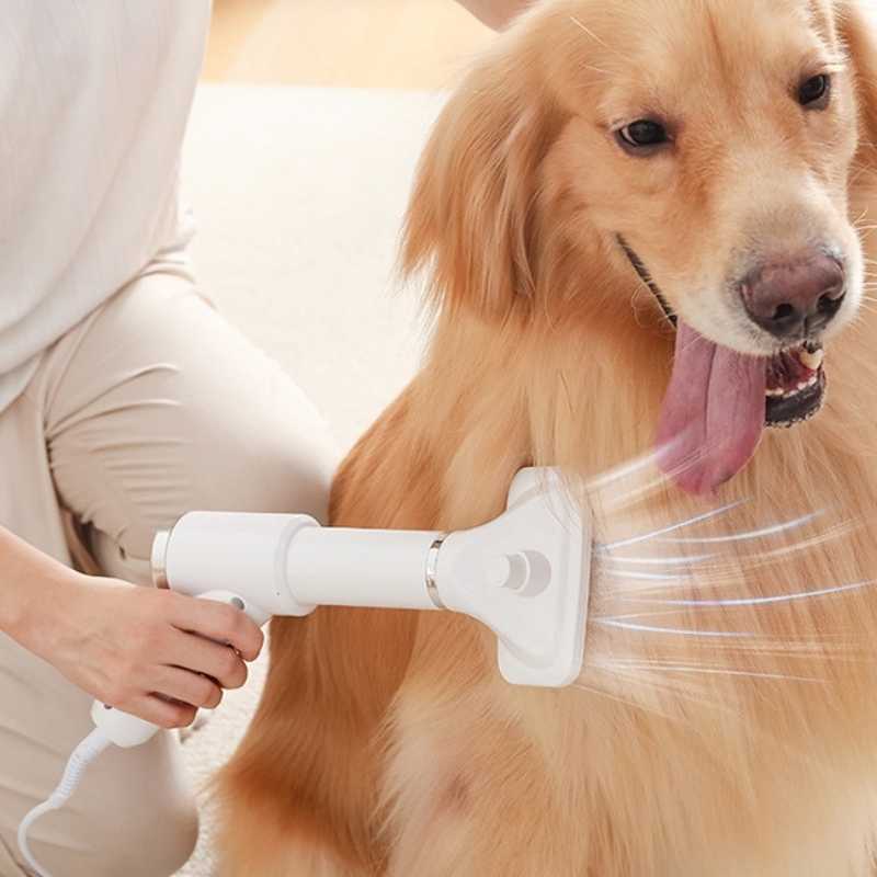 Pet 2-in-1 Dryer with Slicker Brush - Pet Grooming - Higooga