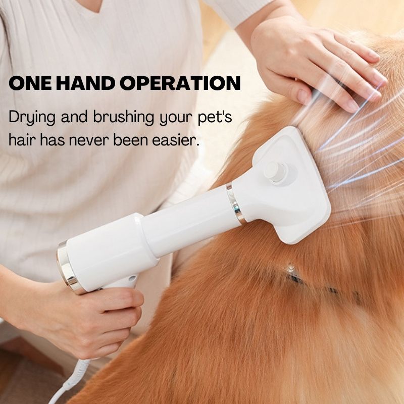 Pet 2-in-1 Dryer with Slicker Brush - Pet Grooming - Higooga