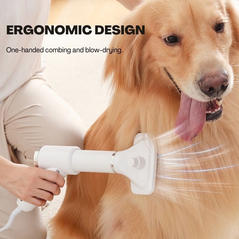 Pet 2-in-1 Dryer with Slicker Brush - Pet Grooming - Higooga