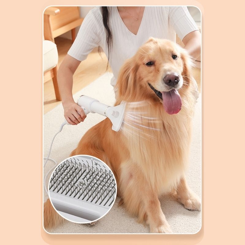 Pet 2-in-1 Dryer with Slicker Brush - Pet Grooming - Higooga