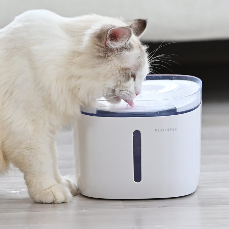 Petoneer Fresco Mini Plus Intelligent Pet Water Fountain | Higooga