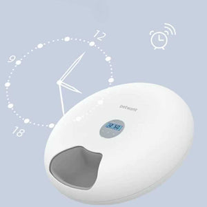 Petwant Cordless Pet Feeder with Scheduler For Wet & Dry Food | Higooga