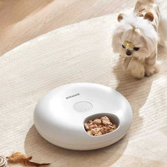 Petwant Cordless Pet Feeder with Scheduler For Wet & Dry Food | Higooga