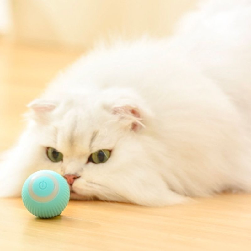 Smart Automatic Cat Teaser Ball | Higooga