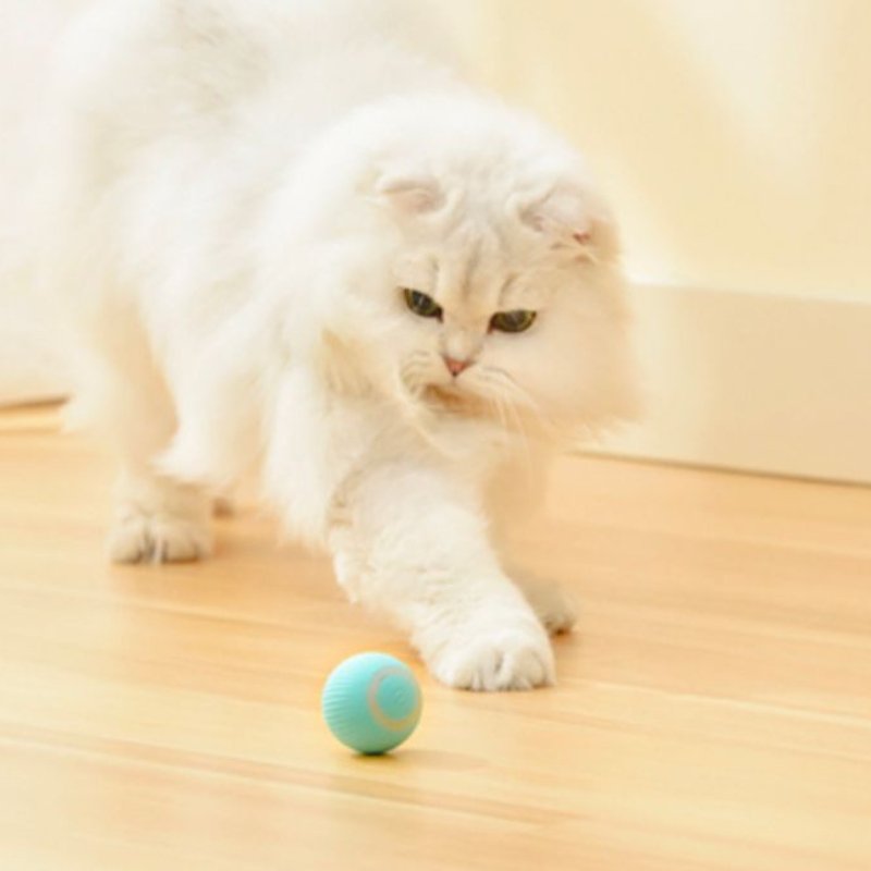 Smart Automatic Cat Teaser Ball | Higooga