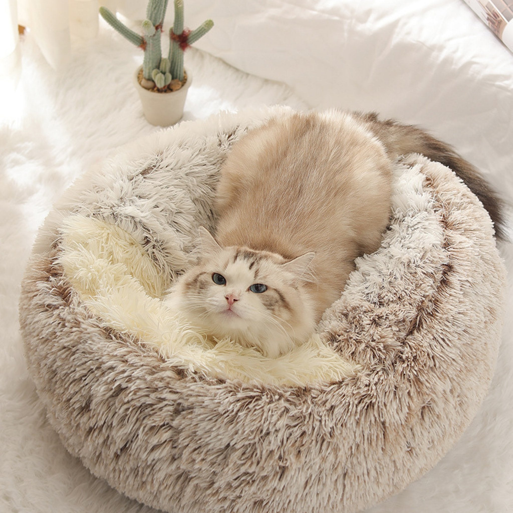 Soft Plush Pet Cave Bed for Large Cats & Medium Dogs - Beds & Furniture - Higooga