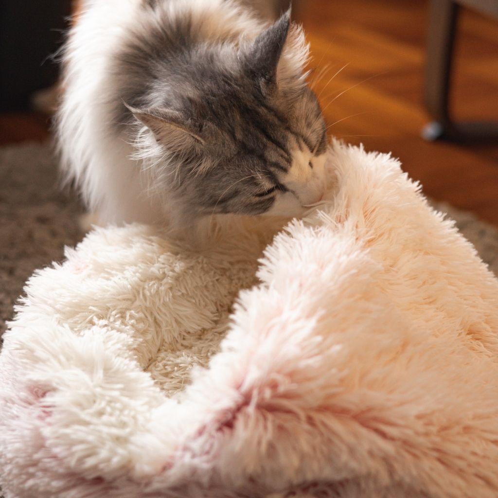 Soft Plush Pet Cave Bed for Small Cats & Dogs - Beds & Furniture - Higooga